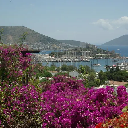 Antique Theatre 3* Bodrum