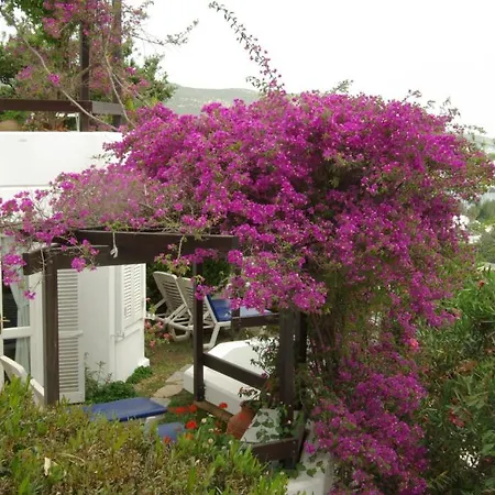 Otel Antik Tiyatro Bodrum